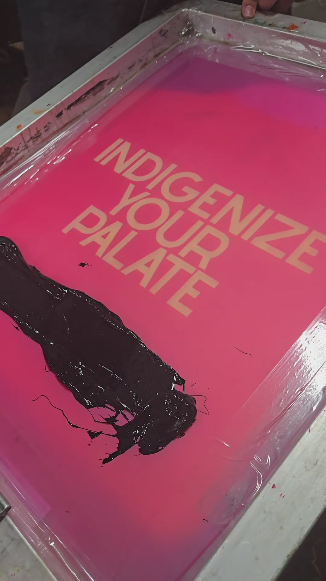INDIGENIZE t-shirt