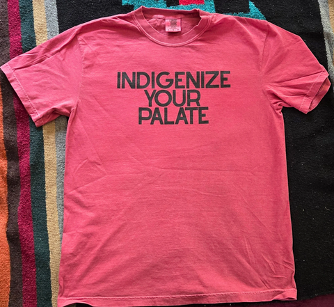 INDIGENIZE t-shirt