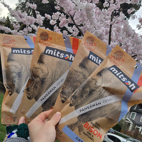 Mitsoh Dry Meat 70g